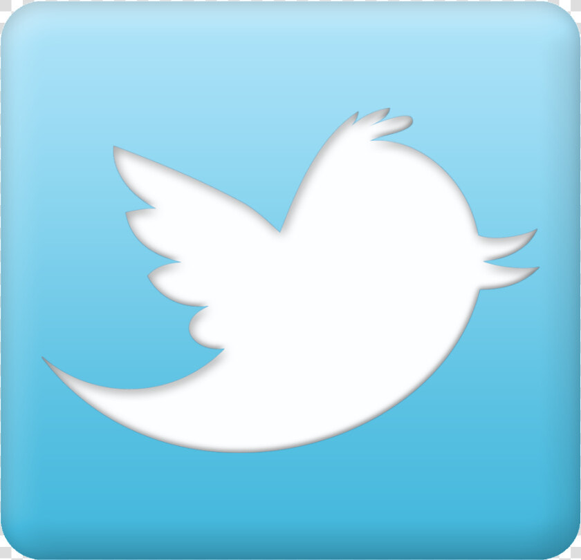 Learning For The Empowerment   Transparent Background Twitter Button  HD Png DownloadTransparent PNG