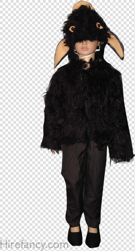 Costume   Png Download   Halloween Costume  Transparent PngTransparent PNG