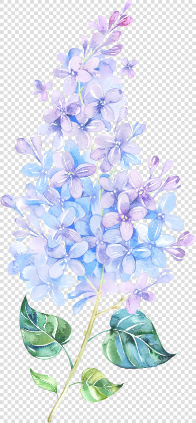 Picture Freeuse Library Flower Lilac Painting Purple   Tattoo Watercolor Lilac  HD Png DownloadTransparent PNG
