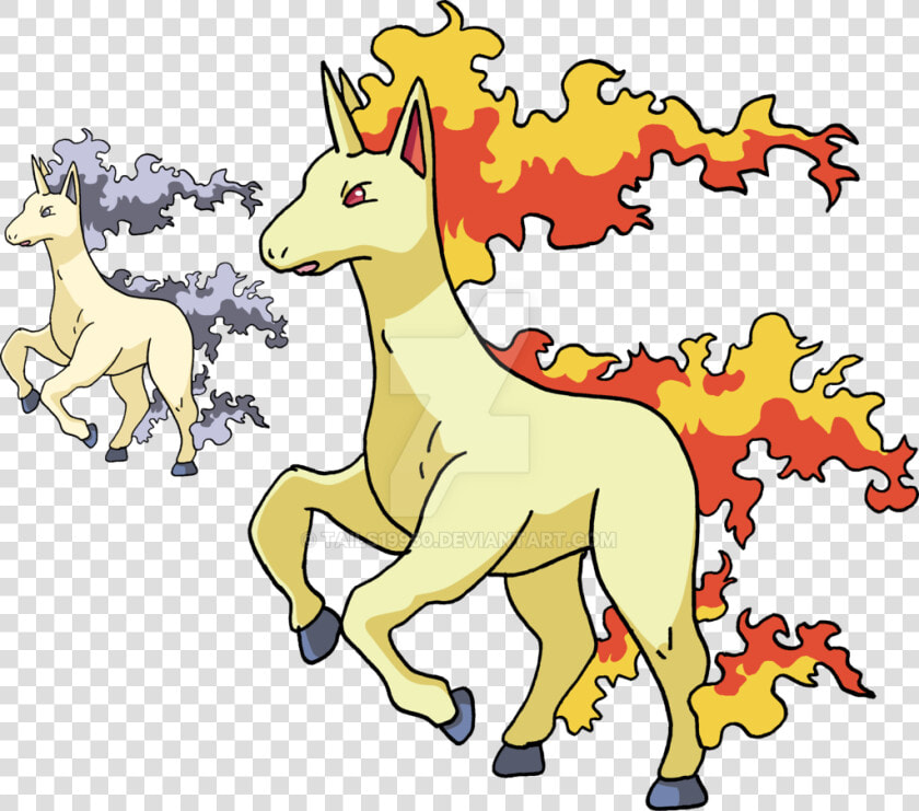078   Rapidash   Art V   2 By Tails19950     Evolution  HD Png DownloadTransparent PNG