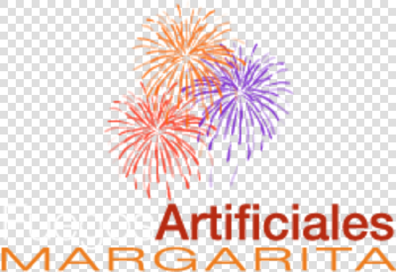 Transparent Fuegos Artificiales Png   Festival De Las Artes  Png DownloadTransparent PNG