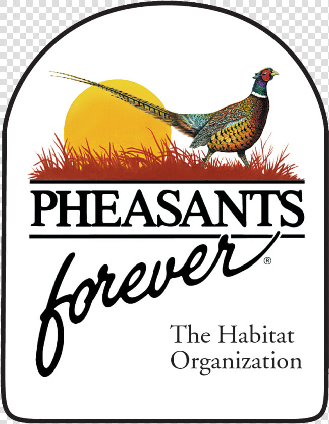 Pheasants Forever   Pheasants Forever Logo  HD Png DownloadTransparent PNG