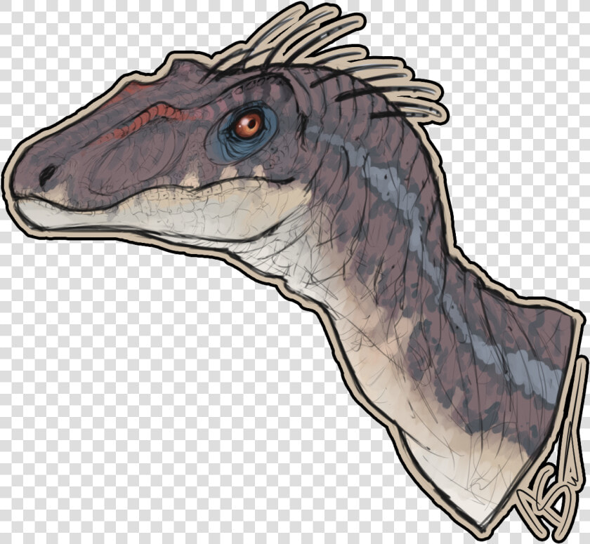 Velociraptor Png  Transparent PngTransparent PNG