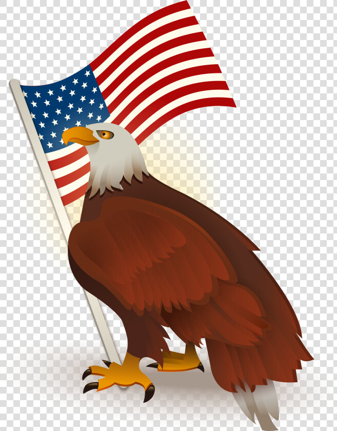 United States Clipart American Flag Eagle   Eagle Transparent American Flag  HD Png DownloadTransparent PNG