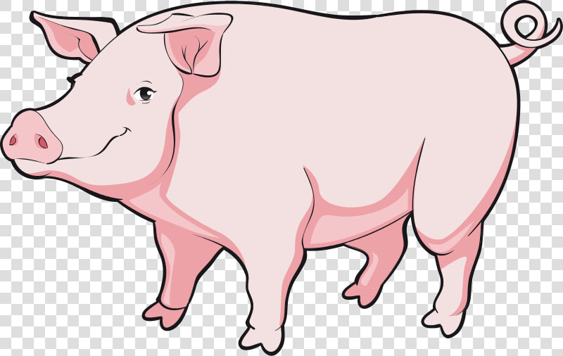 Transparent Baby Pig Clipart   Realistic Pig Png Clipart  Png DownloadTransparent PNG