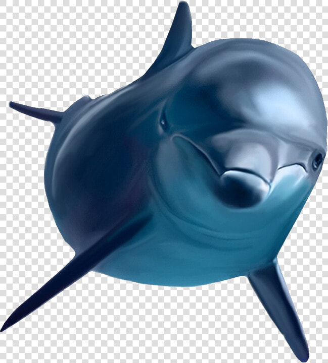 Dolphin   Ecco The Dolphin Transparent  HD Png DownloadTransparent PNG