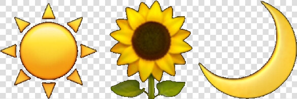  tumblr  aesthetic  emoji  sunflower  moon  sun  freetoedit   Sunflower Aesthetic Drawing  HD Png DownloadTransparent PNG