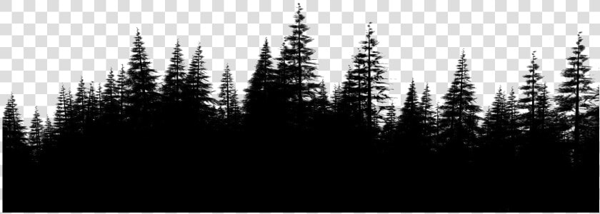 Forest Png File Download Free   Pine Forest Png  Transparent PngTransparent PNG