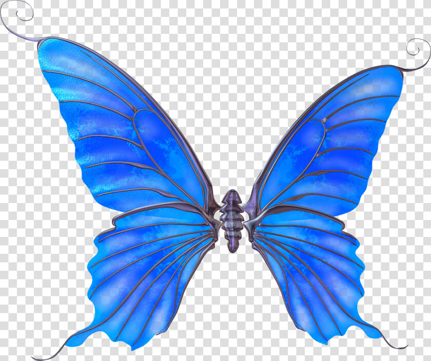 Transparent Mariposas Azules Png   Alas De Mariposa Azul Png  Png DownloadTransparent PNG