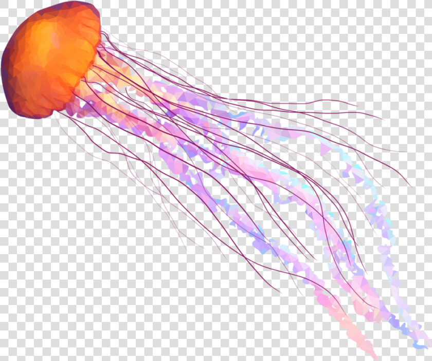 Jellyfish Png Smoke Jellyfish Png   Jellyfish Png  Transparent PngTransparent PNG