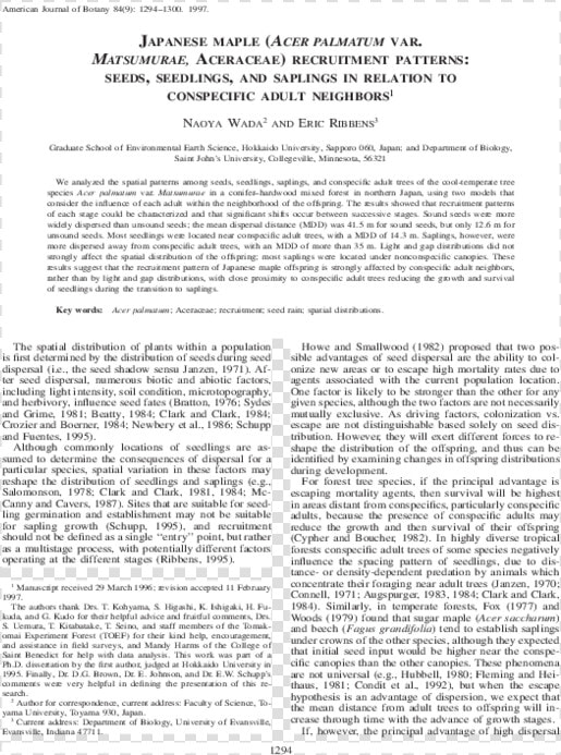 Document  HD Png DownloadTransparent PNG