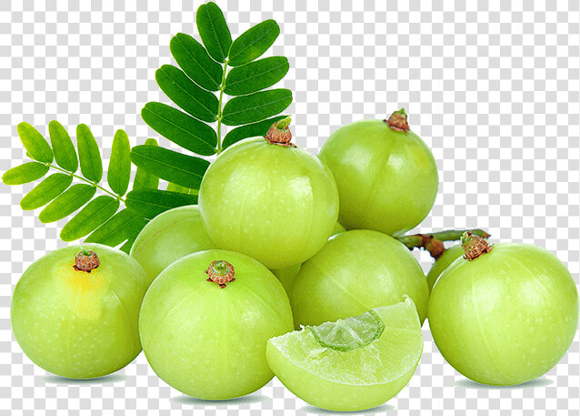 Amla Fruit  HD Png DownloadTransparent PNG
