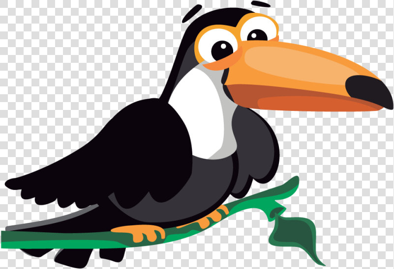 Toucan Clipart Toucan Bird   Toucan Clipart Png  Transparent PngTransparent PNG