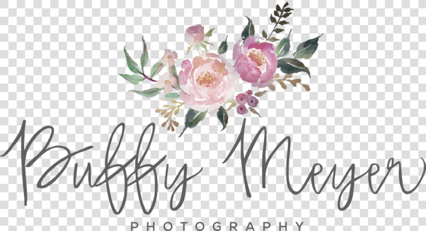 Buffy Meyer Photography Copy  HD Png DownloadTransparent PNG
