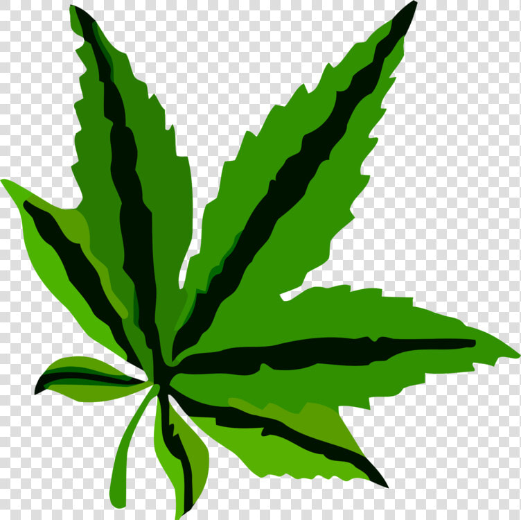 Plant leaf hemp Family   Leaf Pdf  HD Png DownloadTransparent PNG