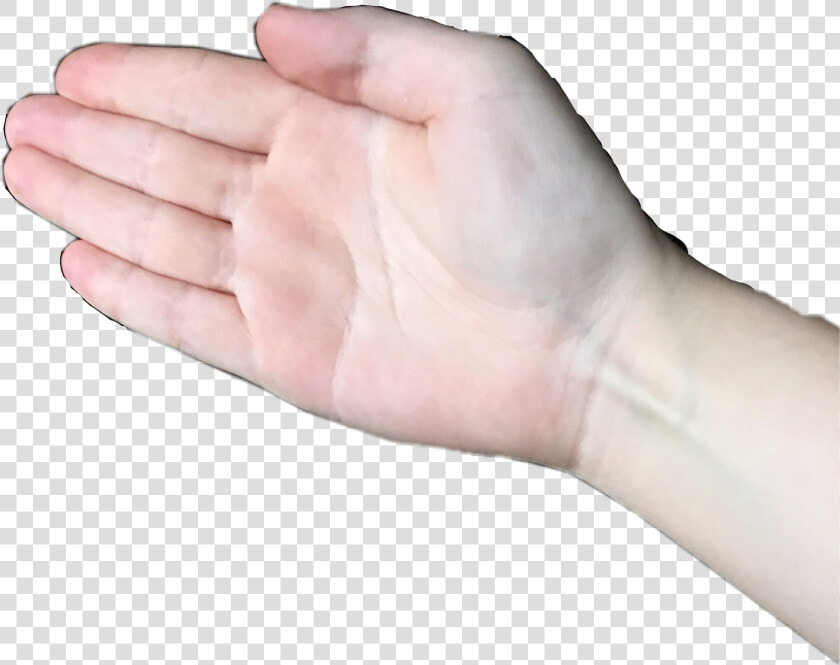 Boi Bruh Look At This Dude Boi Wow👋🏻👋🏻👋   Boi Hand No Background  HD Png DownloadTransparent PNG