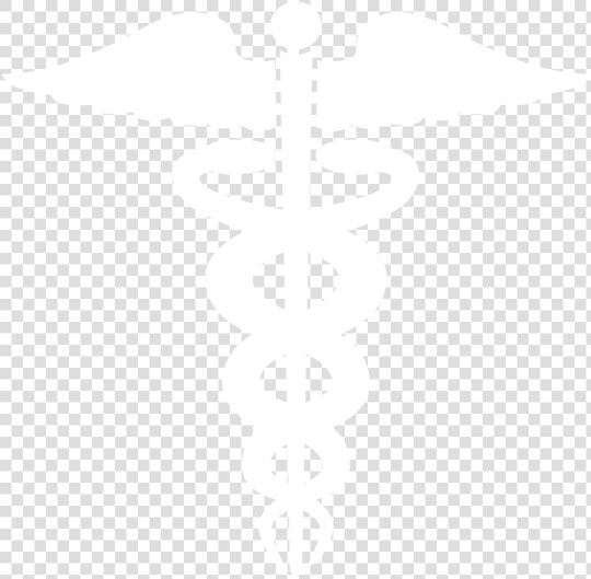 Caduceus   Woodlands Hospital Guyana Logo  HD Png DownloadTransparent PNG