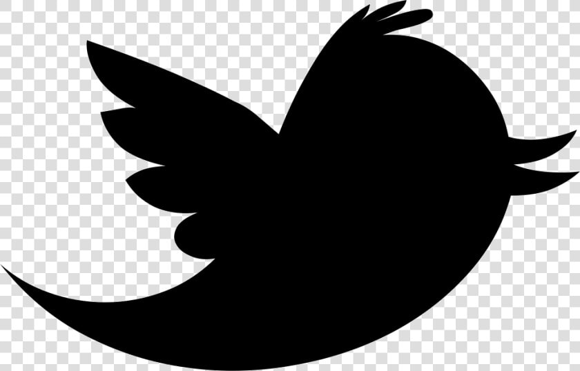 Portable Network Graphics Logo Vector Graphics Desktop   Twitter Logo Png  Transparent PngTransparent PNG