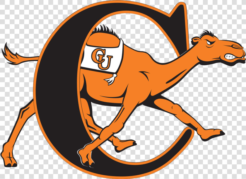 Campbell Fighting Camels  HD Png DownloadTransparent PNG