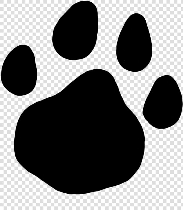 Bear Paw Front  Cat Paw Prints U0026lt30 Mmu0026gt   HD Png DownloadTransparent PNG