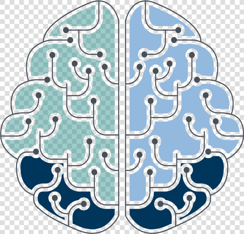 A Blue  Green And Dark Blue Brain Explaining The Wms   Illustration  HD Png DownloadTransparent PNG