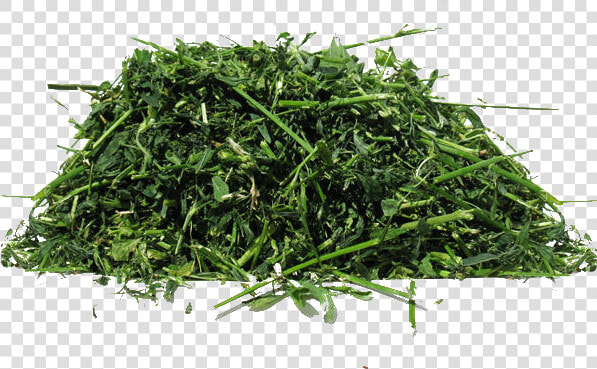 Chaffhaye   Non gmo Alfalfa   Chaffhaye  HD Png DownloadTransparent PNG