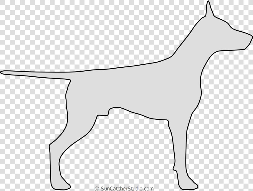 Doberman Vector Dog   Dobermann  HD Png DownloadTransparent PNG