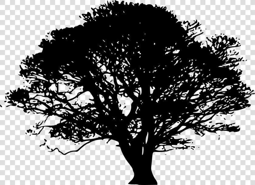 Tree Silhouette Art Clip Art   Green Tree Silhouette Png  Transparent PngTransparent PNG