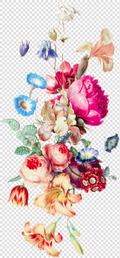 Border Flower Png   Border Flower Vine Png  Transparent PngTransparent PNG