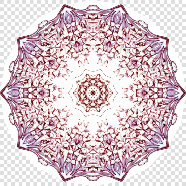 Symmetry textile doily   Circle  HD Png DownloadTransparent PNG