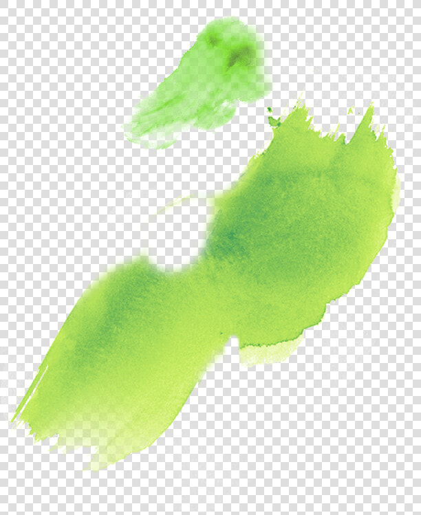 Prized Across Generations In South Africa For Its Powerful   Illustration  HD Png DownloadTransparent PNG