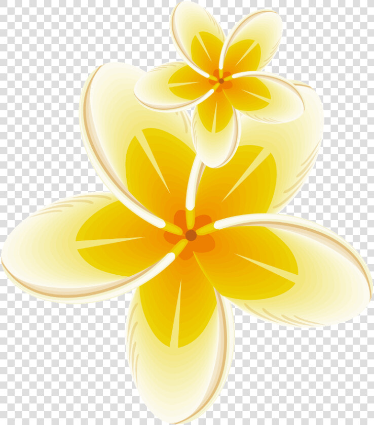  yellow  frame  bloom  flower  border  flowers  white   Frangipani  HD Png DownloadTransparent PNG