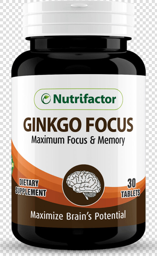 Ginkgo Focus   Ginseng  HD Png DownloadTransparent PNG