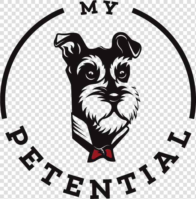 Miniature Schnauzer  HD Png DownloadTransparent PNG
