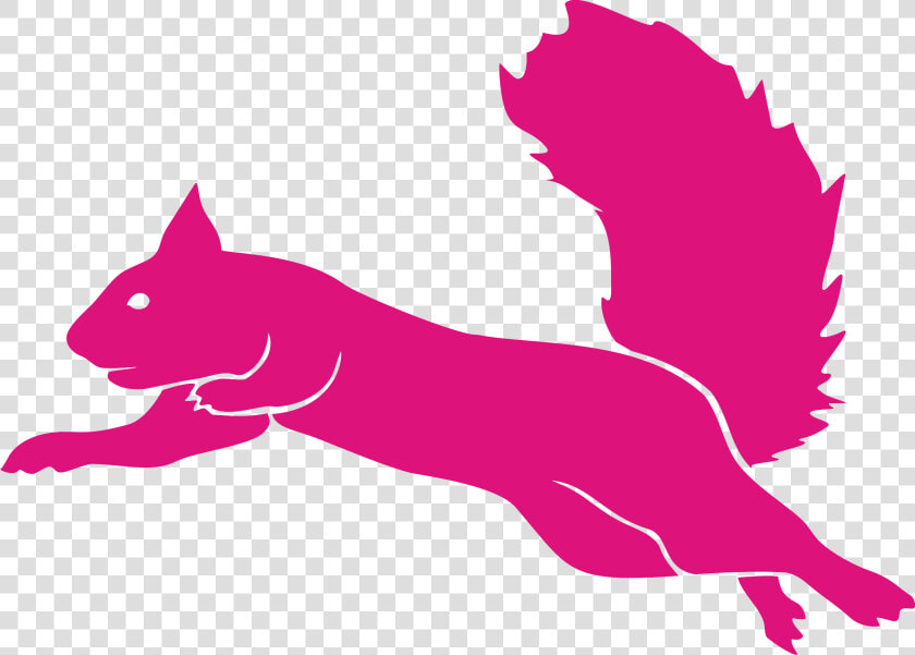 Flying Squirrel Guatemala   Flying Squirrel Trampoline Park Logo  HD Png DownloadTransparent PNG