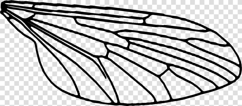 Each Wing Is Printed In 3 Pieces  A White Wing Sandwiched   Transparent Fly Wings  HD Png DownloadTransparent PNG