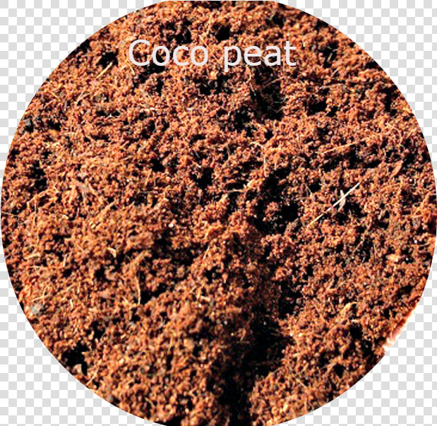 Clip Art Coconut Mulch   Cocopeat  HD Png DownloadTransparent PNG