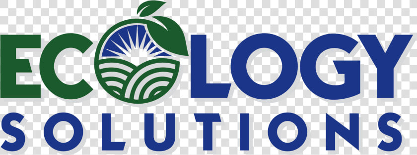 Ecology Solutions   Graphic Design  HD Png DownloadTransparent PNG