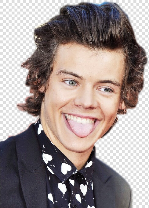 Harry Styles   Harry Styles Transparent Png  Png DownloadTransparent PNG