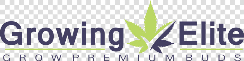 Growing Elite Marijuana By Ryan Riley   Marijuana Grow Logo  HD Png DownloadTransparent PNG