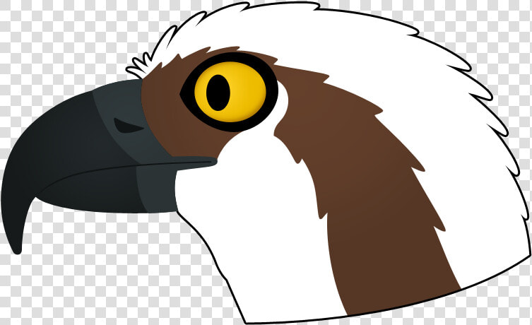 Osprey Logo   Illustration  HD Png DownloadTransparent PNG