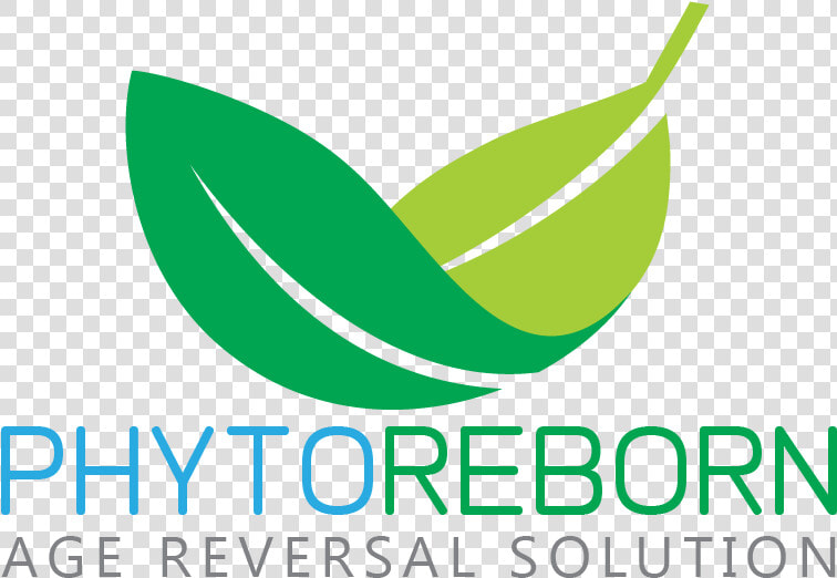 Phyto Reborn   Graphic Design  HD Png DownloadTransparent PNG