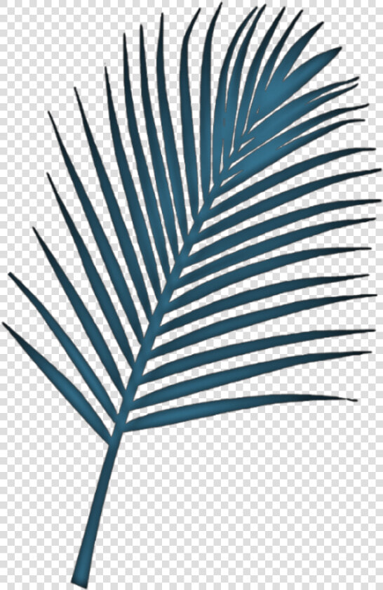   fern  plant  leaf  blue Remixed From  jumminbs  freetoedit   Palm Trees  HD Png DownloadTransparent PNG