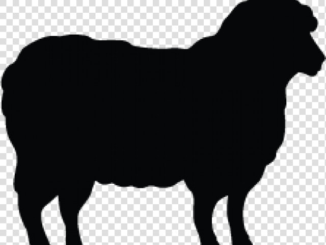 Lamb Clipart Silhouette   Sheep Silhouette  HD Png DownloadTransparent PNG