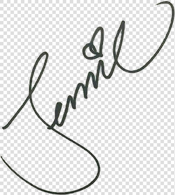 Transparent Jennie Kim Png   Jennie Blackpink Signature Transparent  Png DownloadTransparent PNG