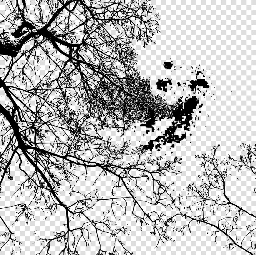 Branches By Stylistica Clip Arts   Monochrome  HD Png DownloadTransparent PNG