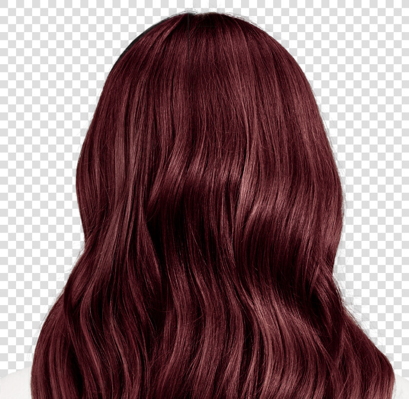 Medium Brown Hair Color  HD Png DownloadTransparent PNG