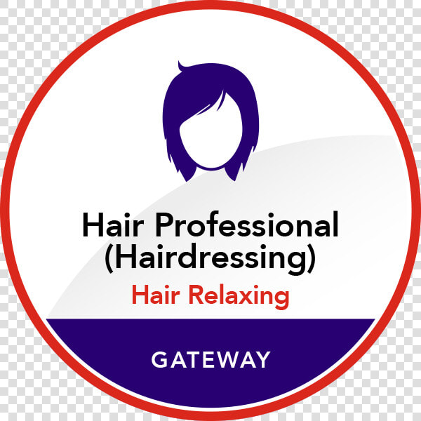 Hair Professional   Tutor  HD Png DownloadTransparent PNG