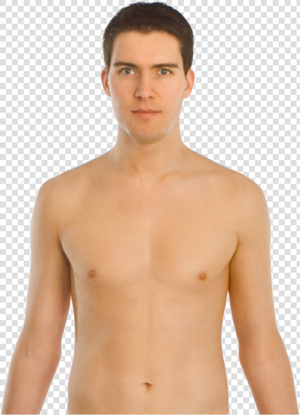 Upper Body Front  HD Png DownloadTransparent PNG