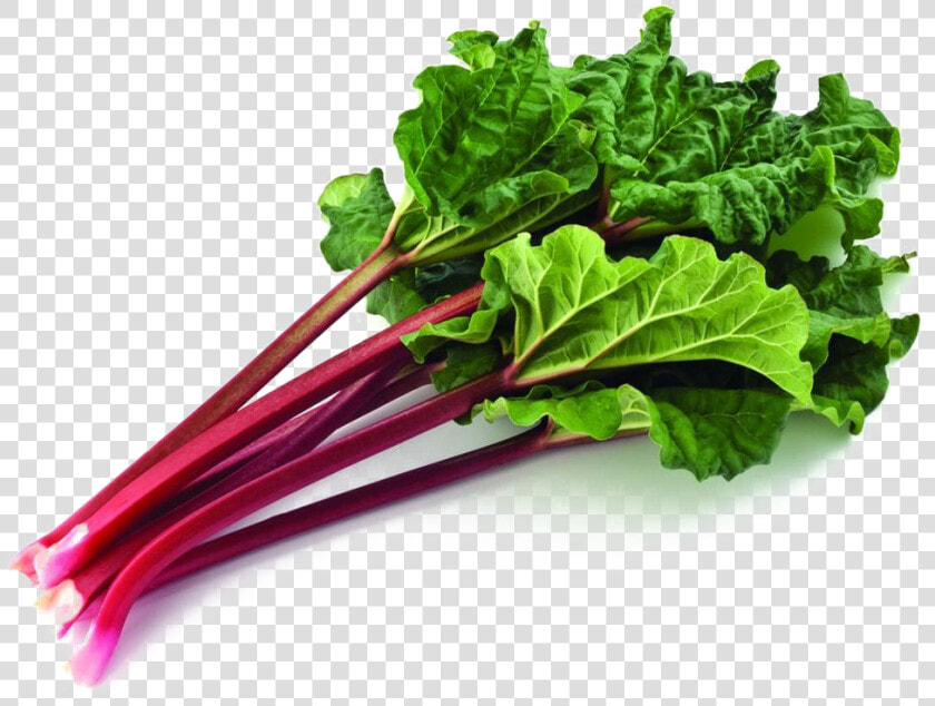Rhubarb Png High Quality Image   Rhubarb Vector Transparent  Png DownloadTransparent PNG